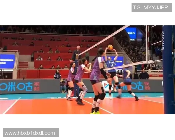 西安排球队的节奏探秘：如何打造高效排球战术与团队协作